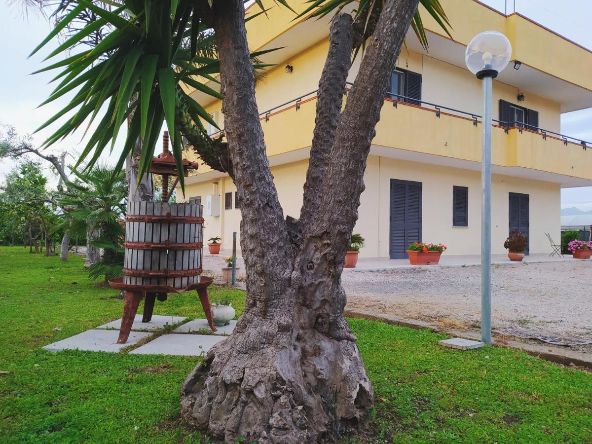 Casa Vacanze Paradise Santa Maria La Carità Εξωτερικό φωτογραφία