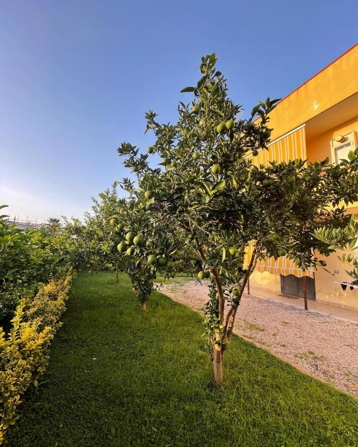 Casa Vacanze Paradise Santa Maria La Carità Εξωτερικό φωτογραφία