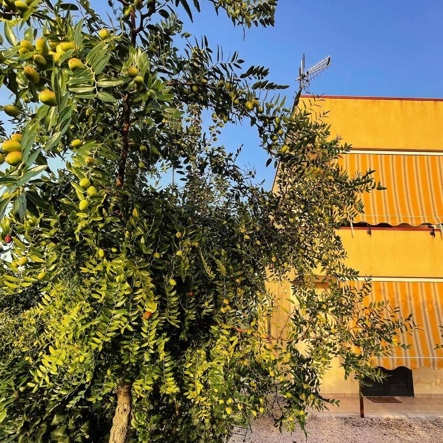 Casa Vacanze Paradise Santa Maria La Carità Εξωτερικό φωτογραφία
