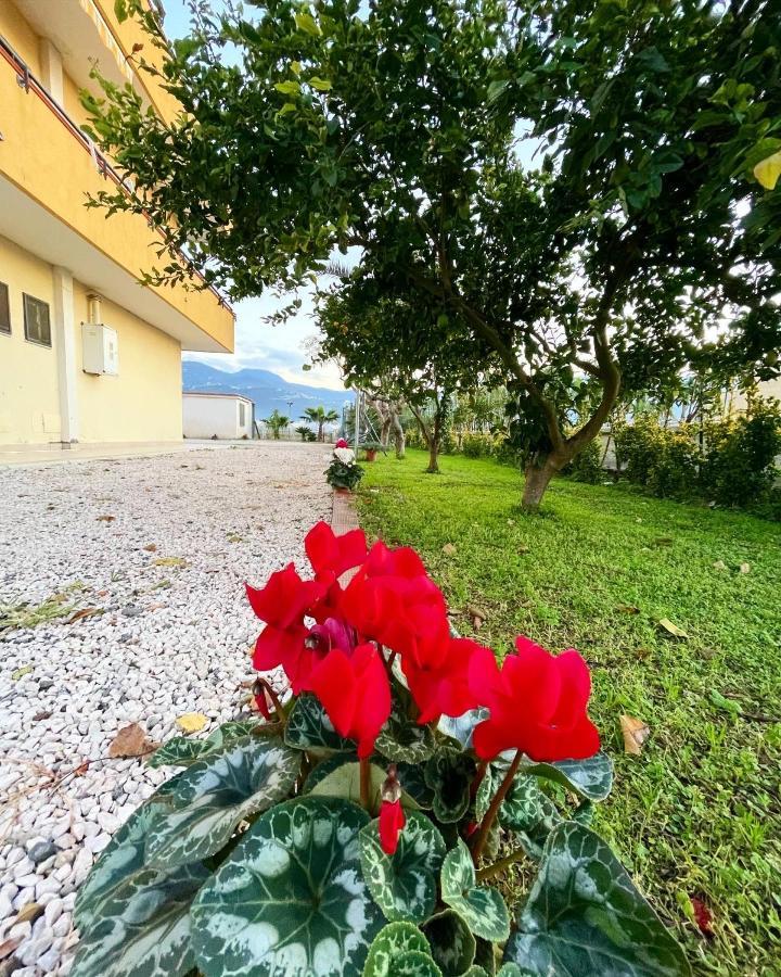 Casa Vacanze Paradise Santa Maria La Carità Εξωτερικό φωτογραφία