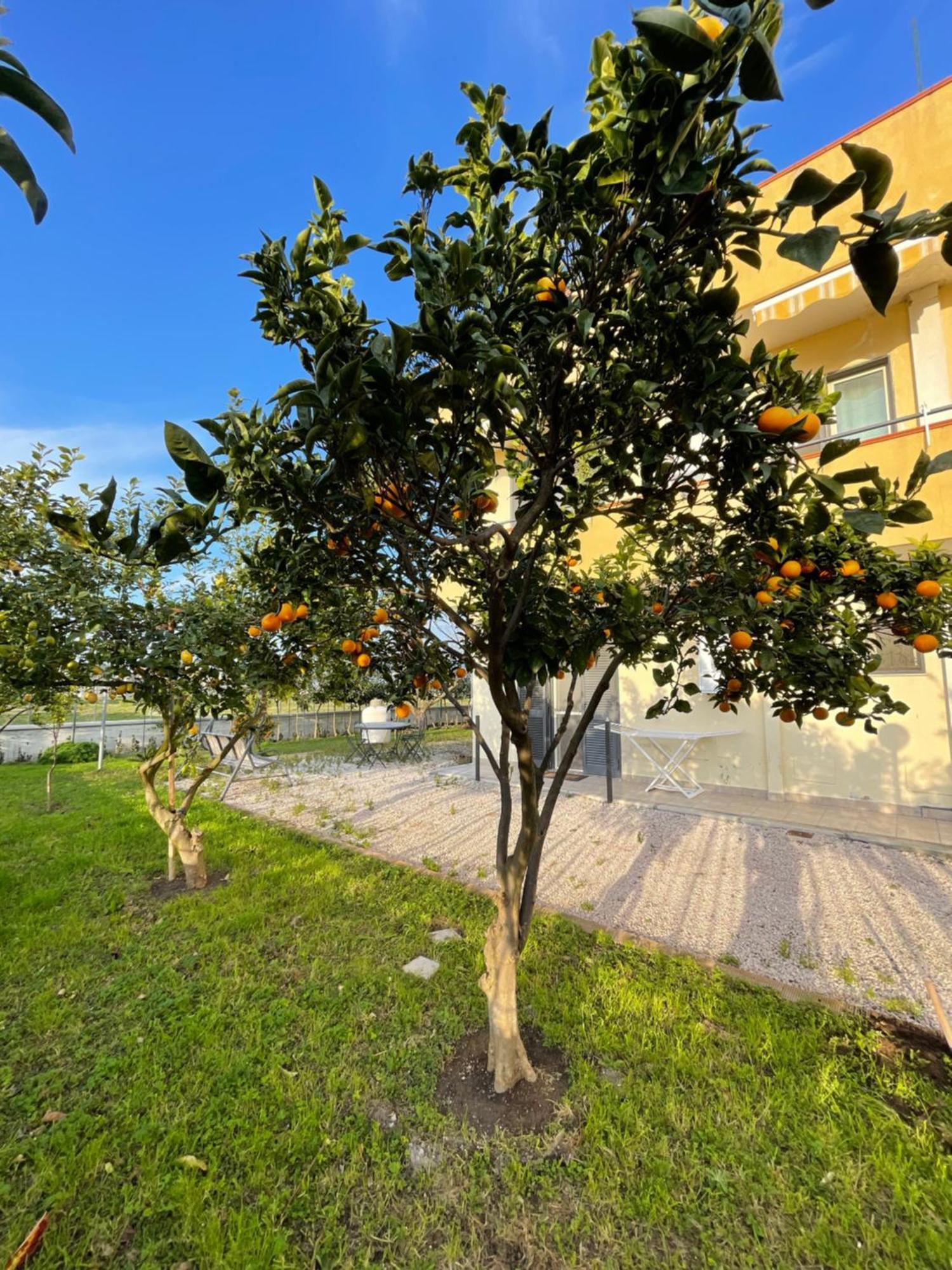 Casa Vacanze Paradise Santa Maria La Carità Εξωτερικό φωτογραφία