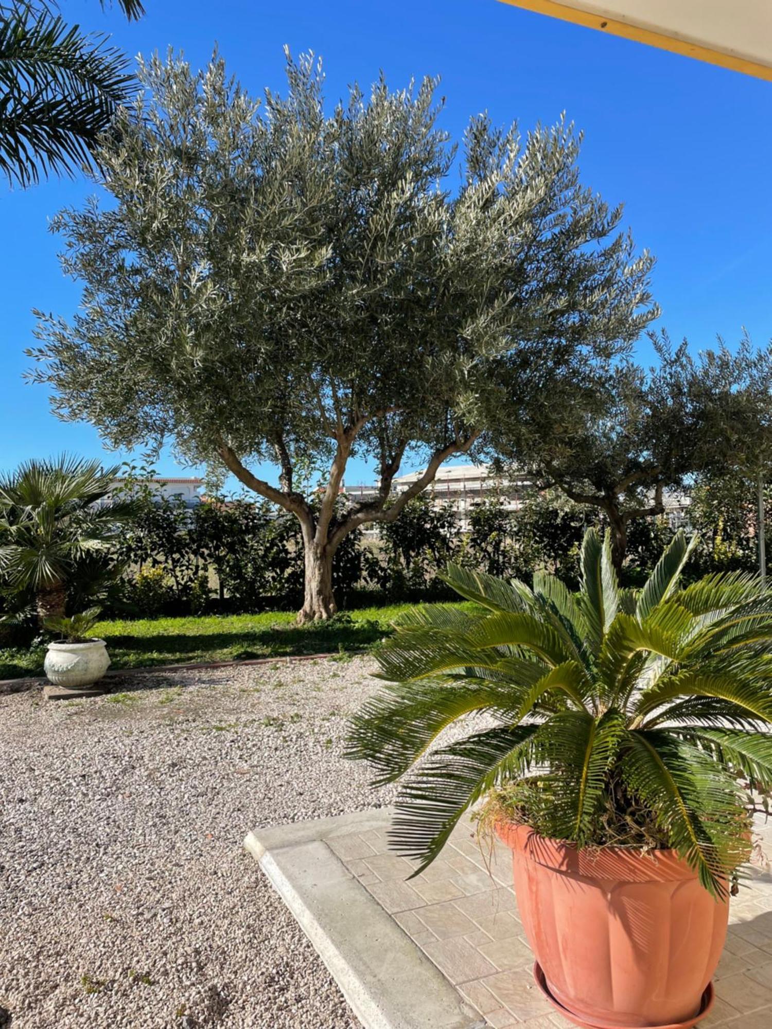 Casa Vacanze Paradise Santa Maria La Carità Εξωτερικό φωτογραφία